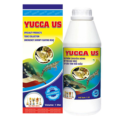 yucca us1